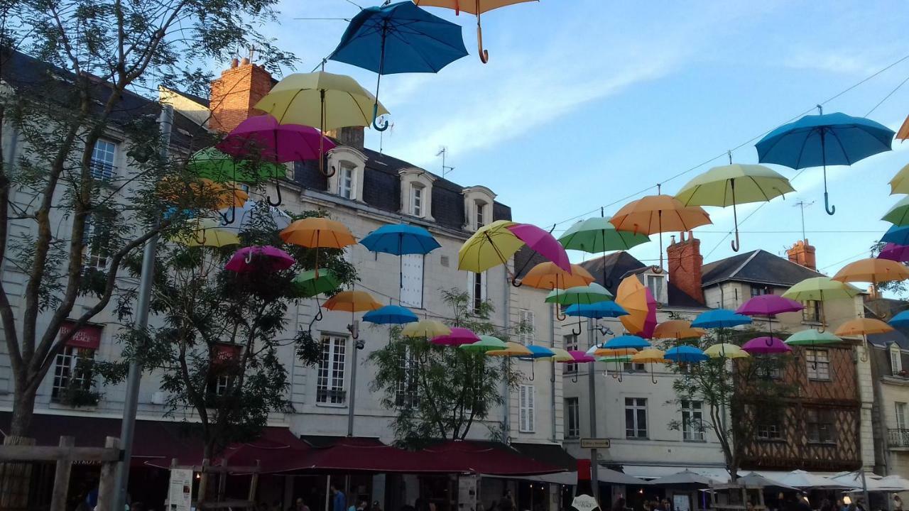 Saumur Loire Chambres Et Gite Vernantes ภายนอก รูปภาพ
